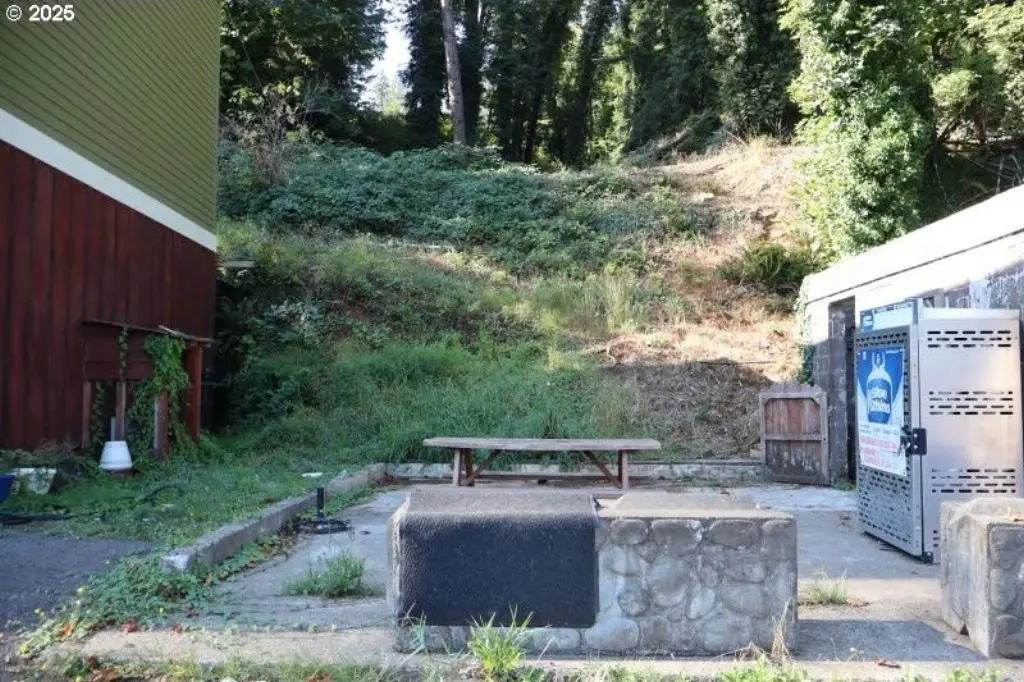 Picture 9
