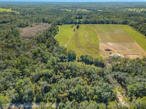 Cleared Land Near Monticello, FL