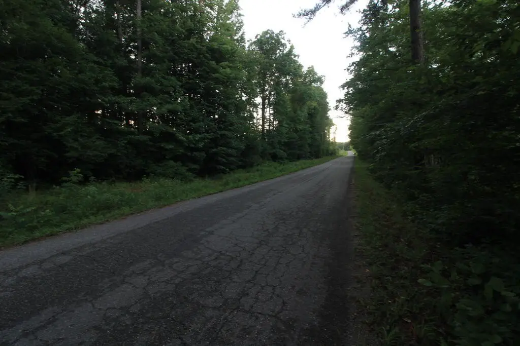 Picture 40