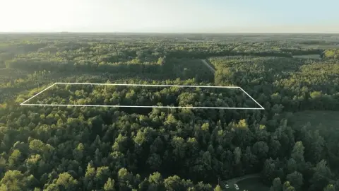 Wooded Land Parcel