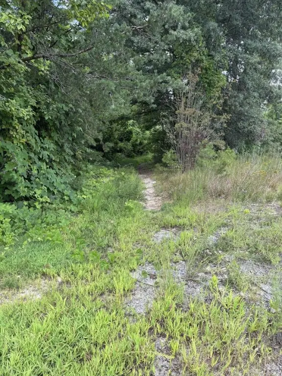 Picture 3