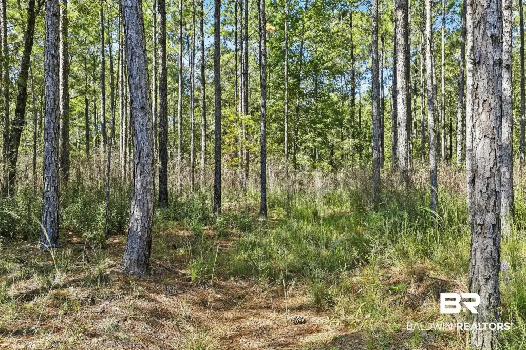 Picture 25