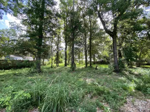 Residential Lots in Olde Town