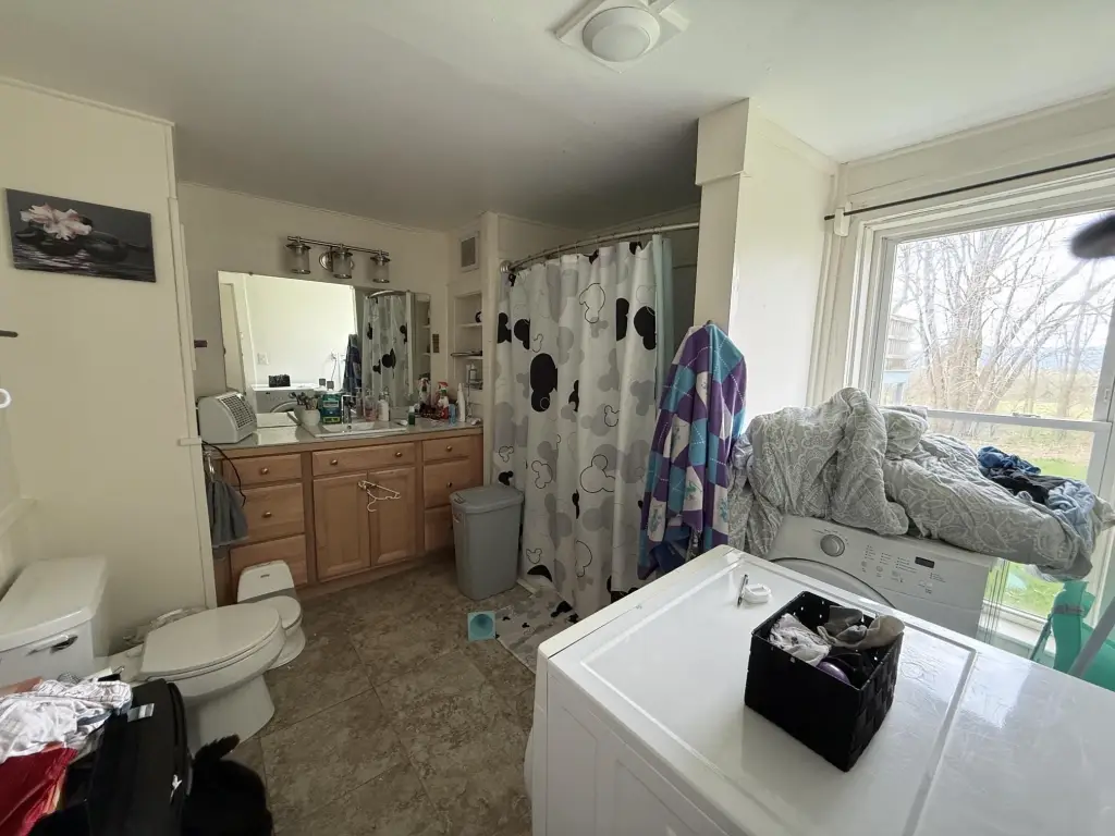 Picture 21