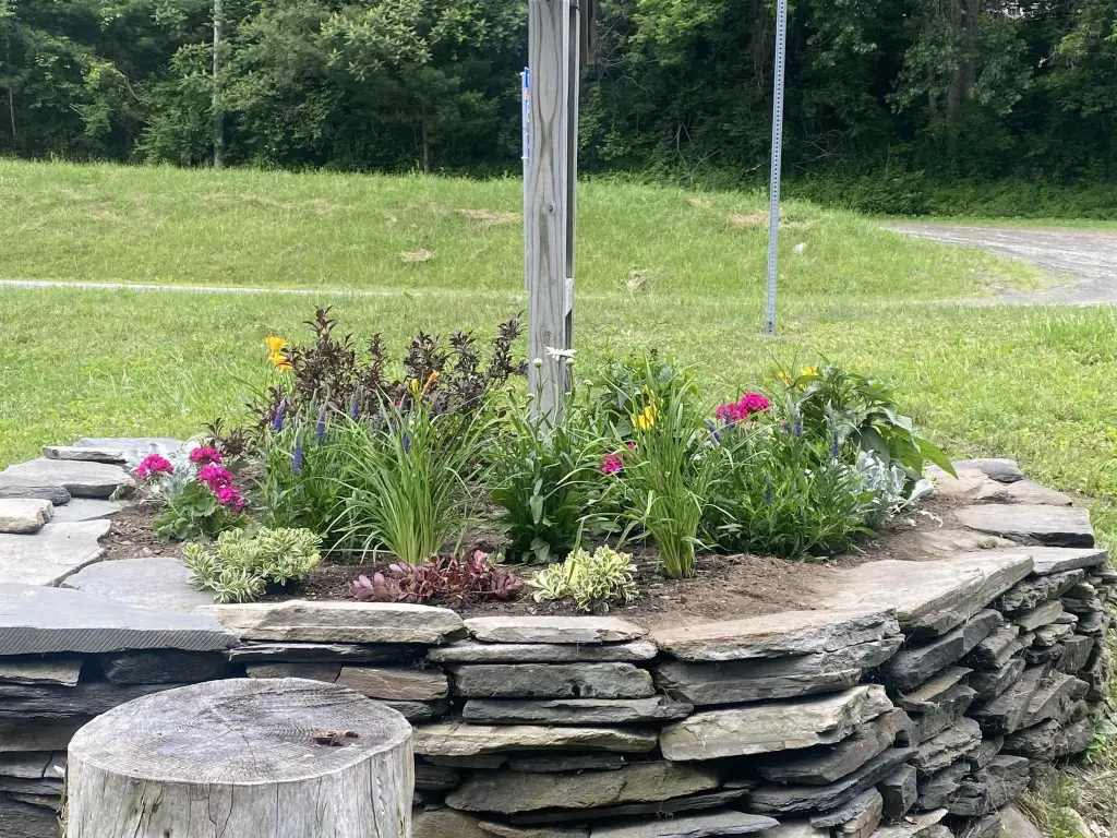 Picture 3