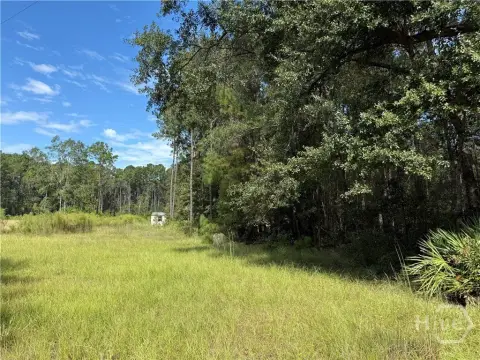 Rincon, GA Vacant Land