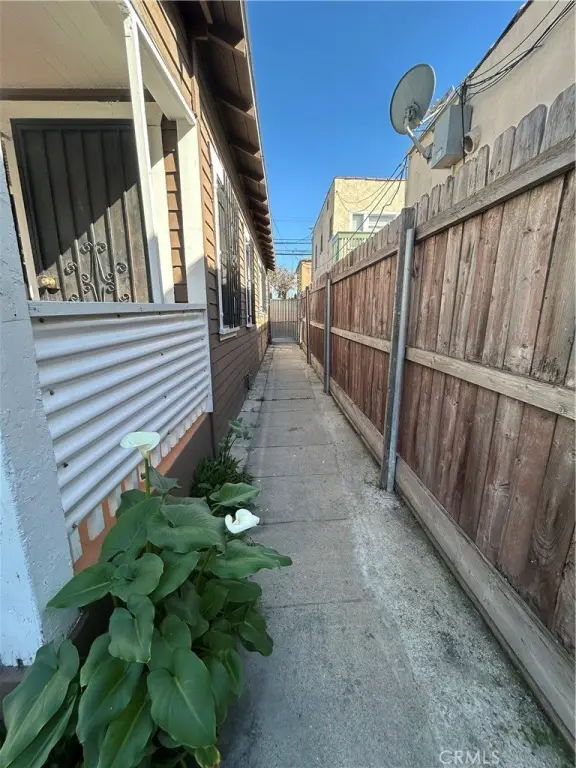 Picture 11