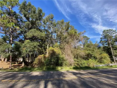 Residential Lot in Saraland School