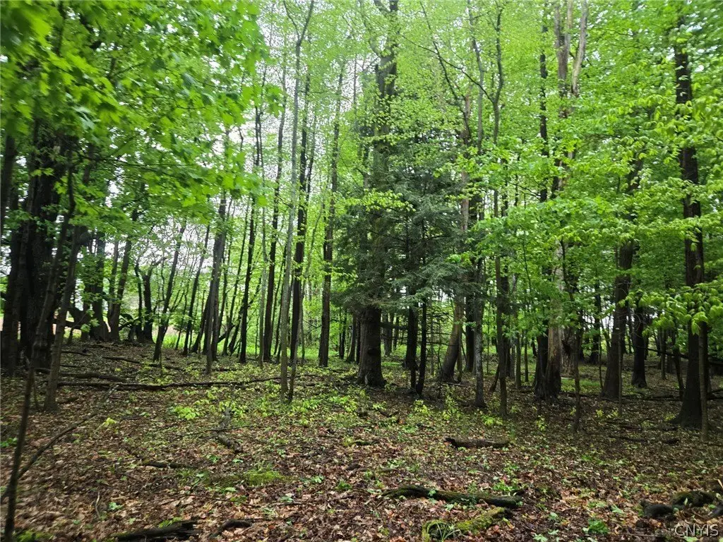 Picture 21
