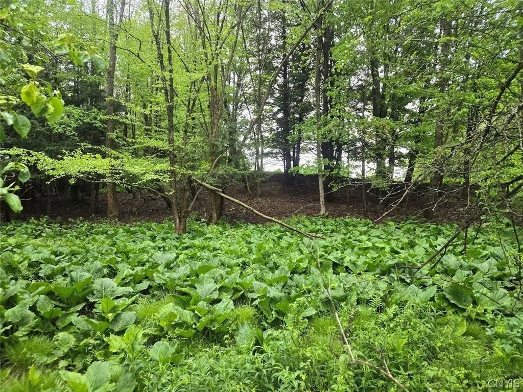 Picture 11