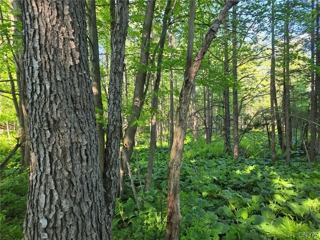 Picture 19
