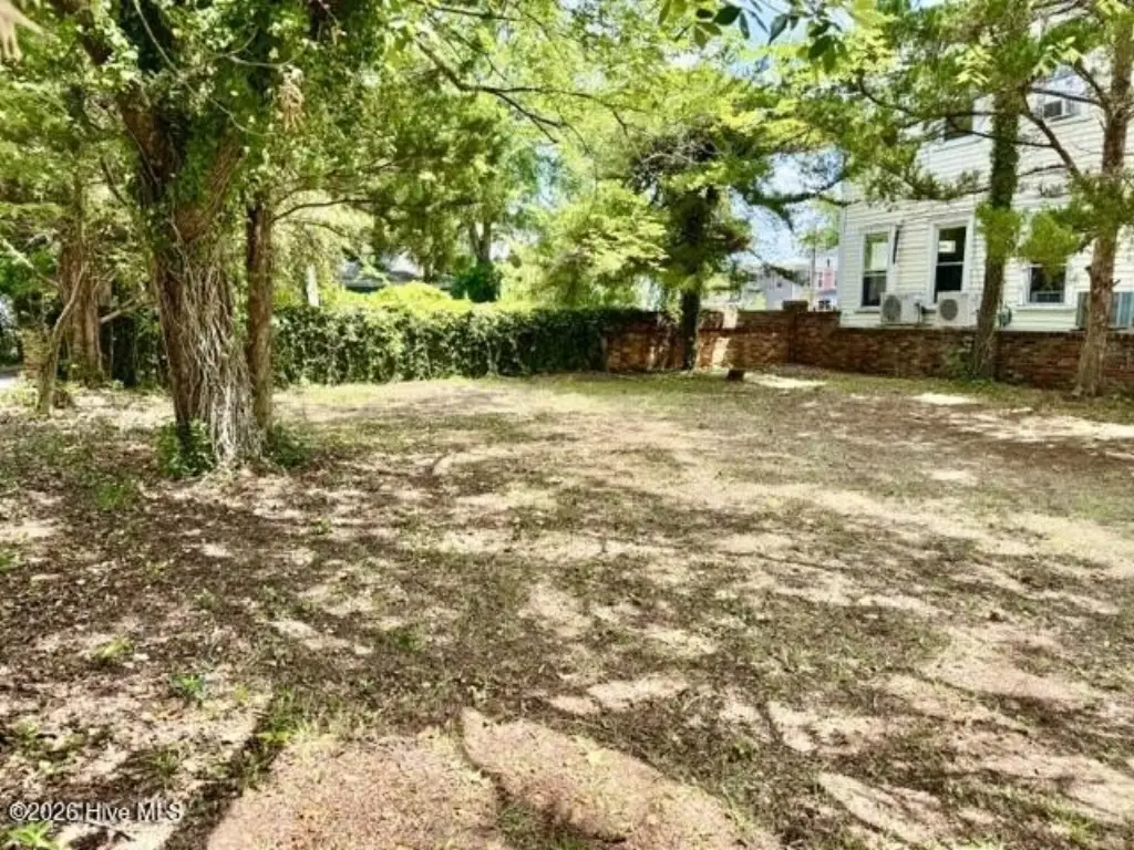 Picture 3