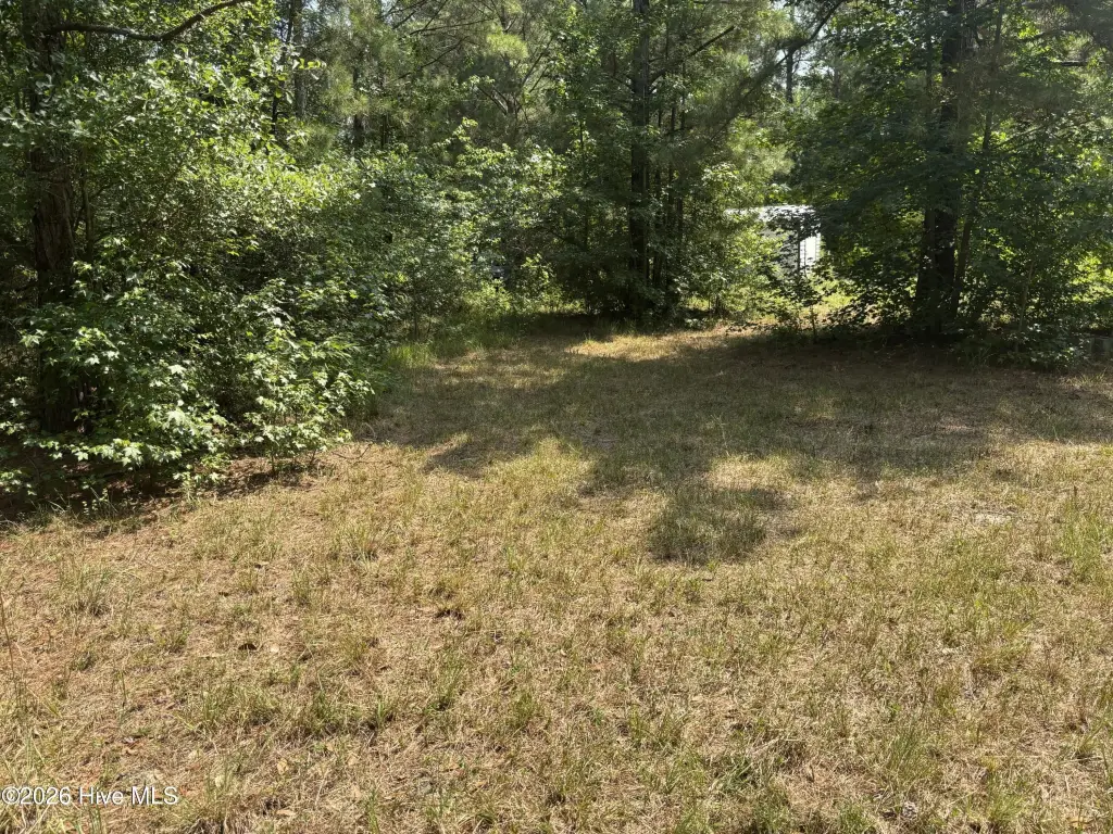 Picture 5