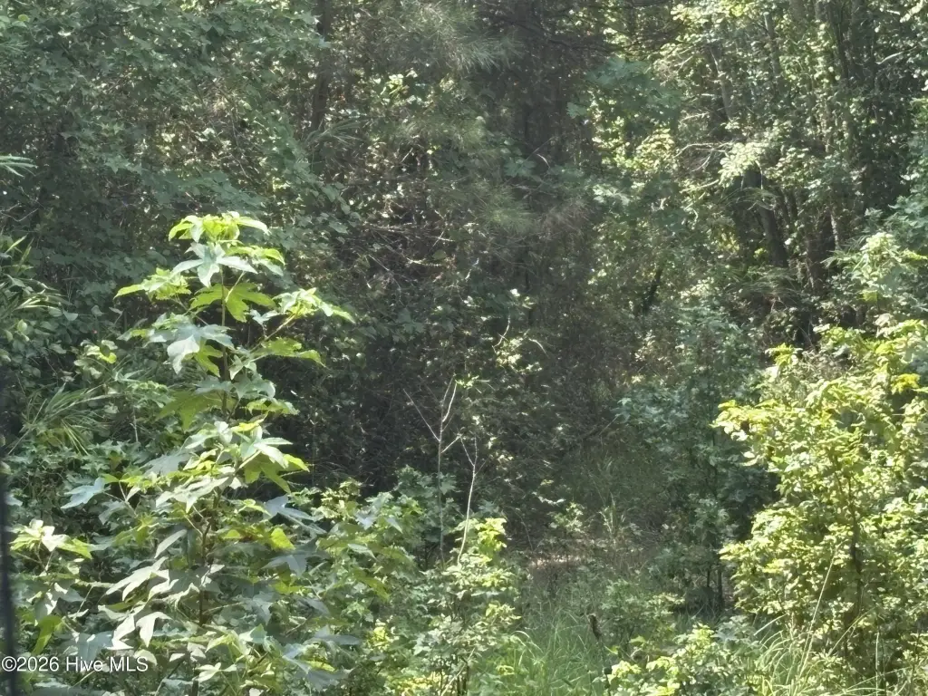 Picture 14
