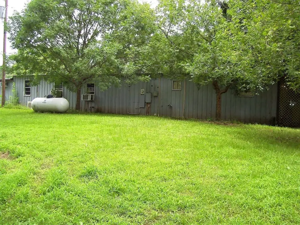 Picture 5
