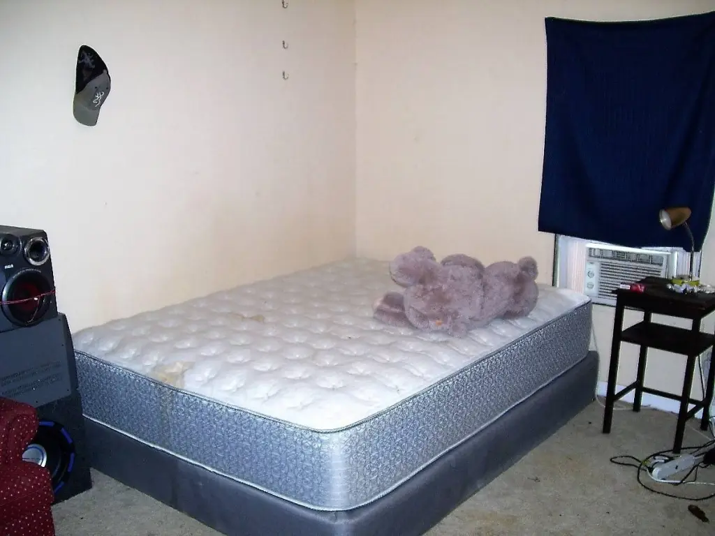 Picture 21