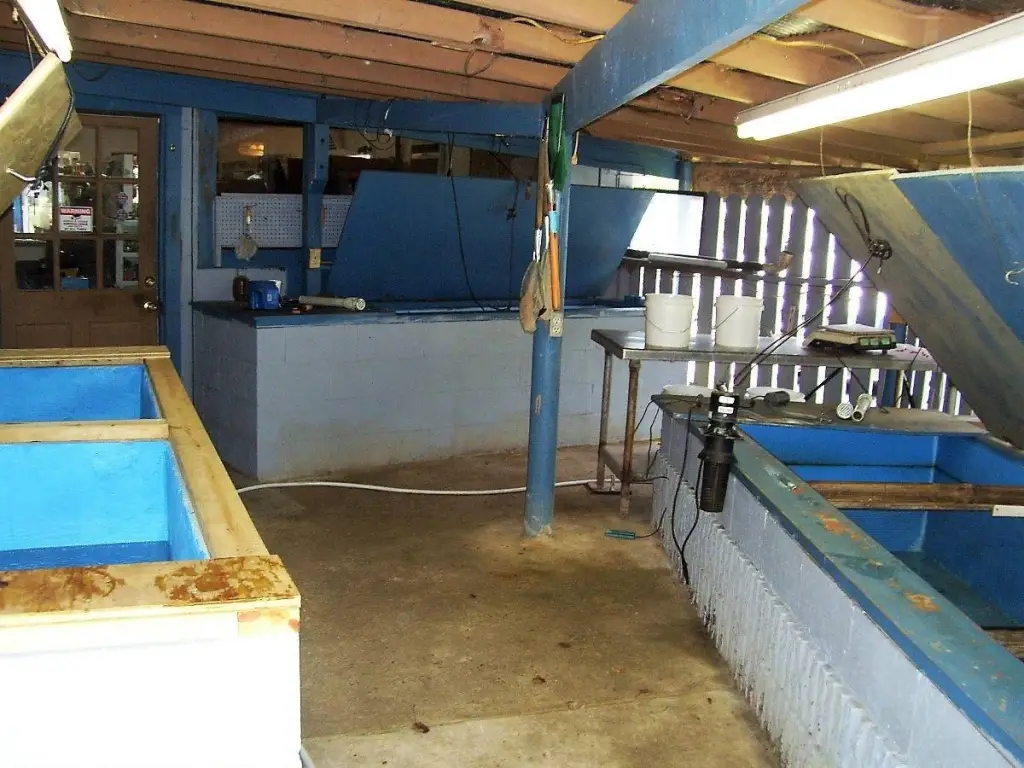 Picture 17