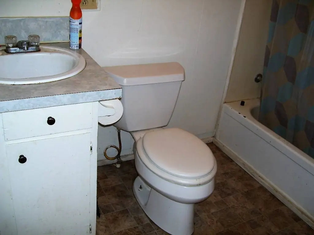 Picture 25