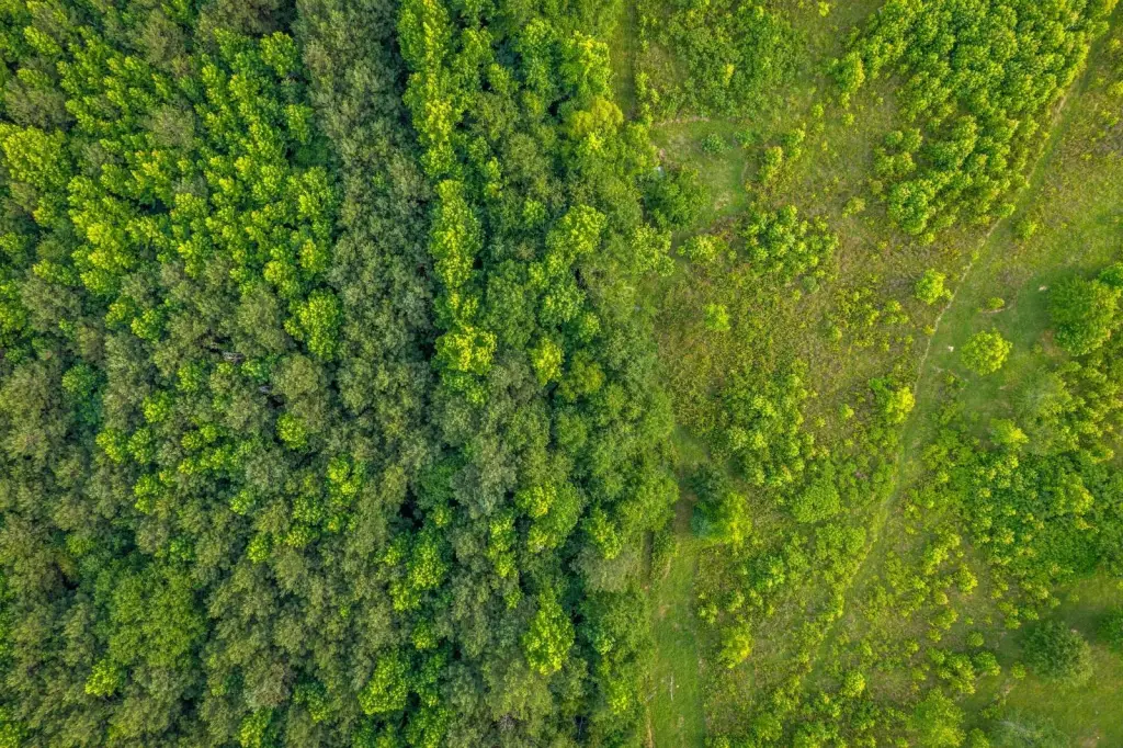 Picture 19