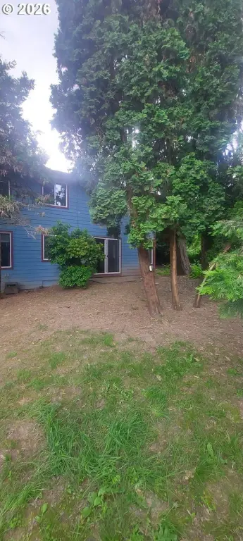 Picture 23