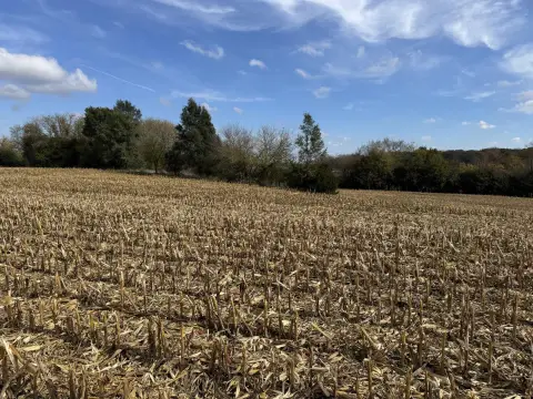 Residential Land in Big Bend, WI