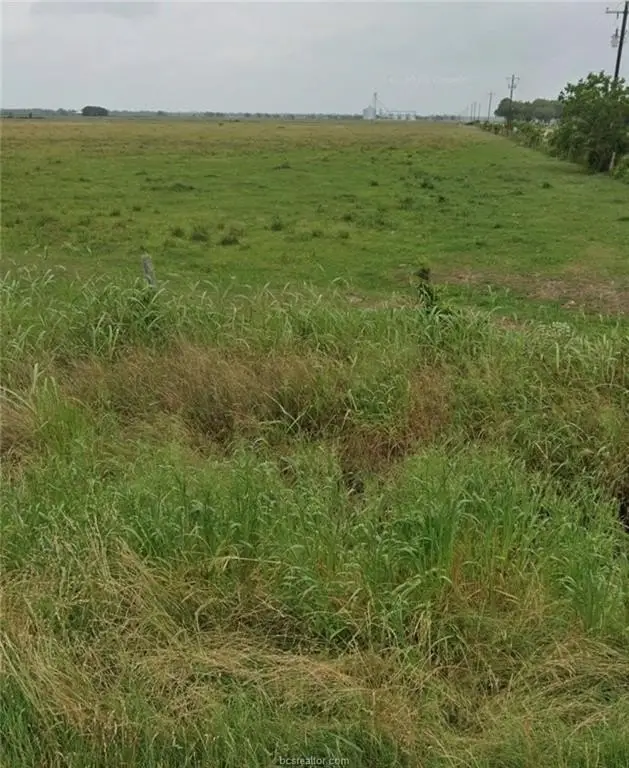 Picture 4