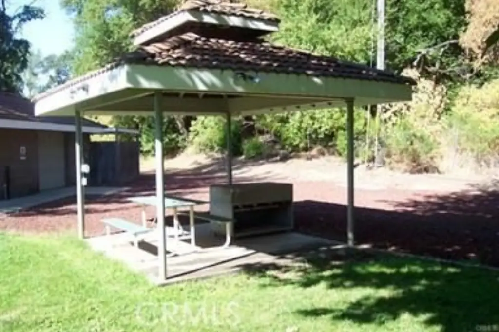 Picture 17
