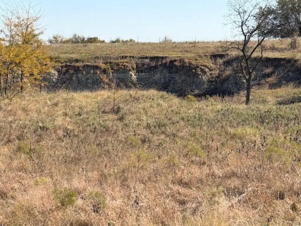 Picture 9