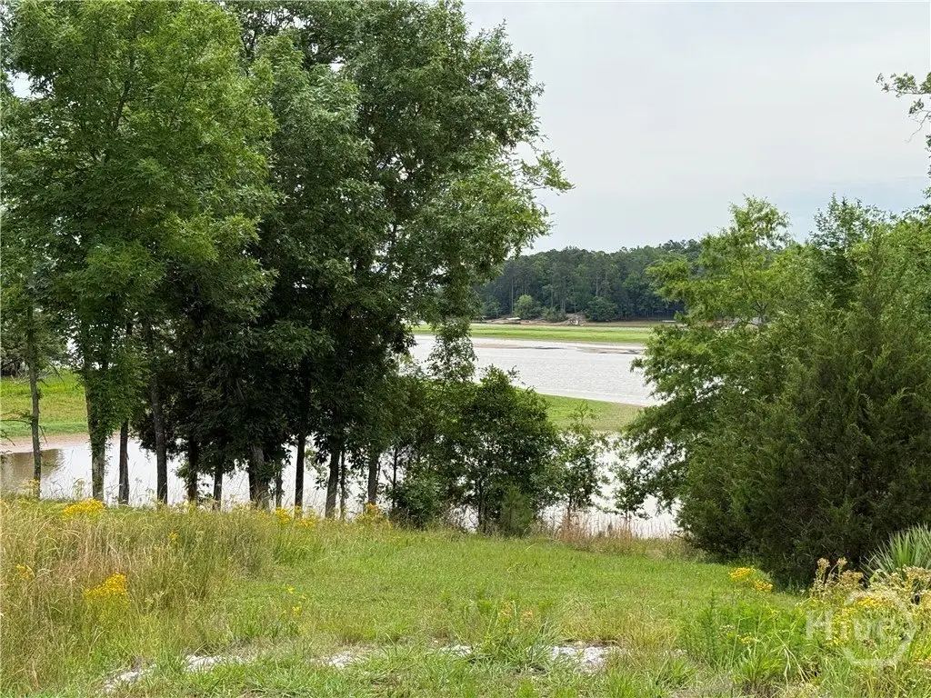 Picture 9