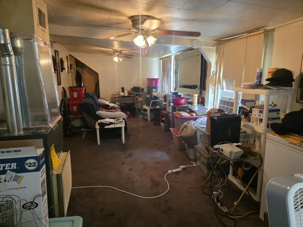 Picture 15