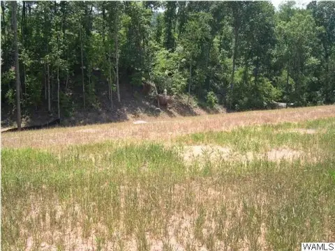 Land For Sale, Tuscaloosa