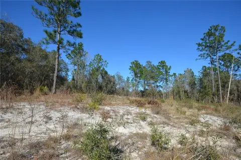 Cleared Land in Timberwalk, Ocala