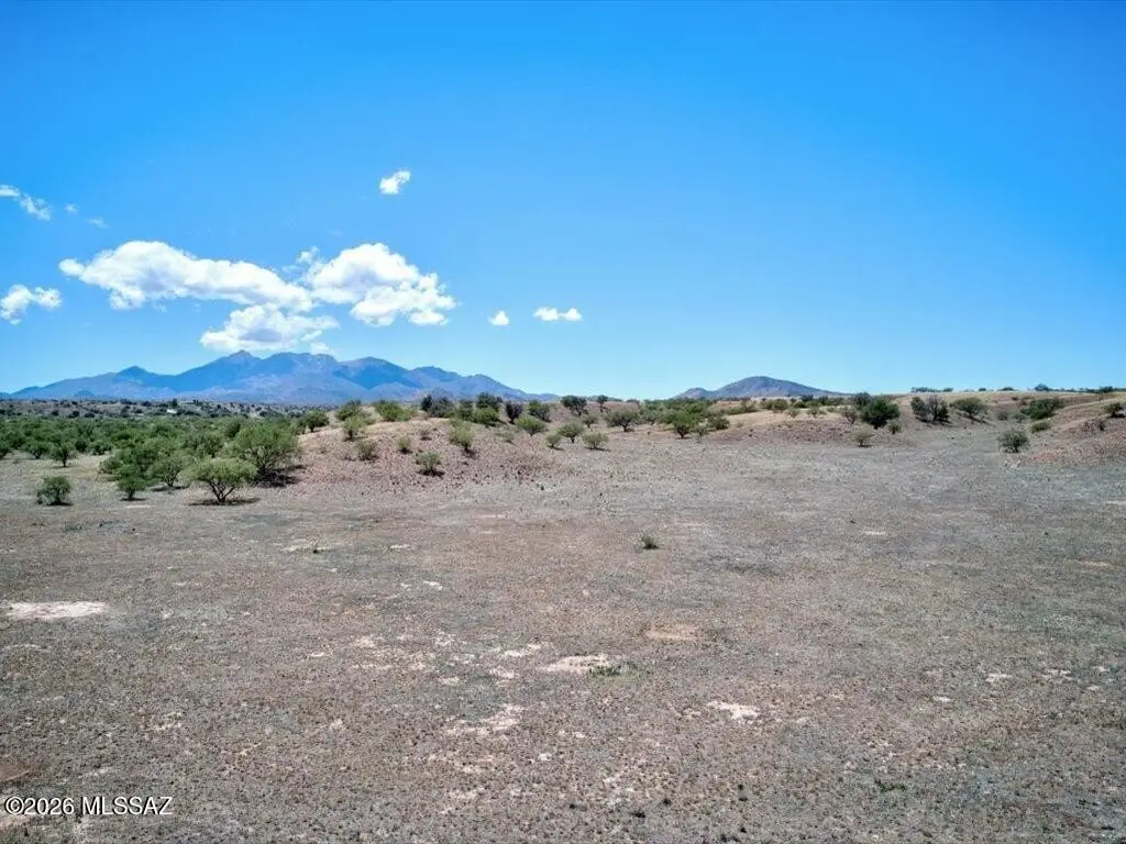 Picture 7