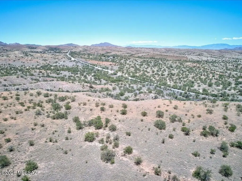 Picture 24