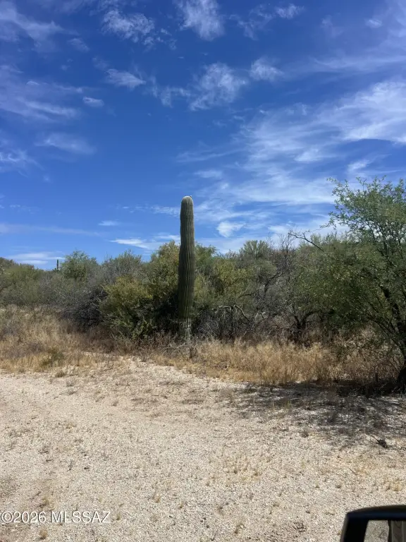 Picture 11
