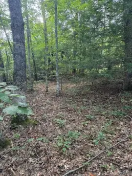 Cumberland Lakes Wooded Lot