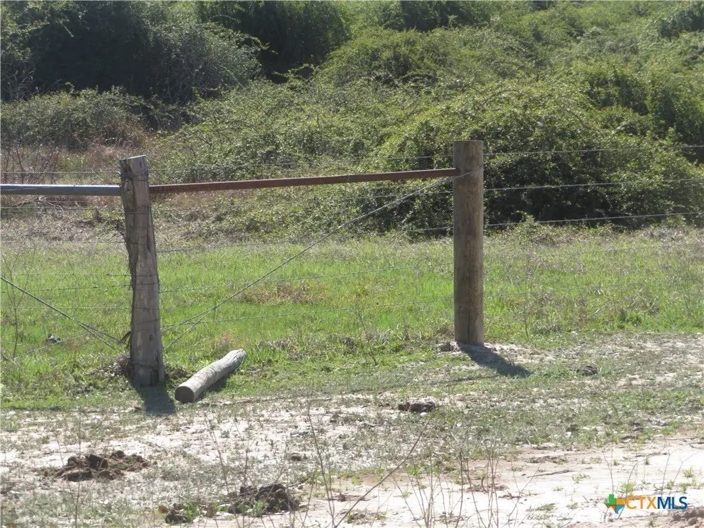 Picture 25