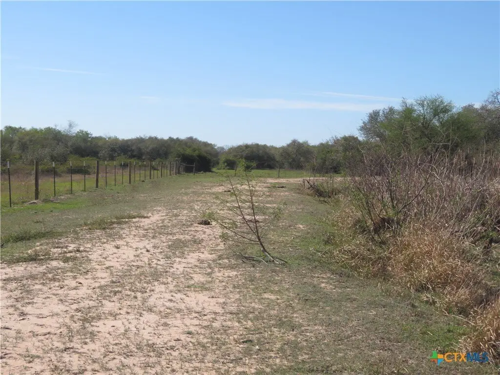 Picture 26
