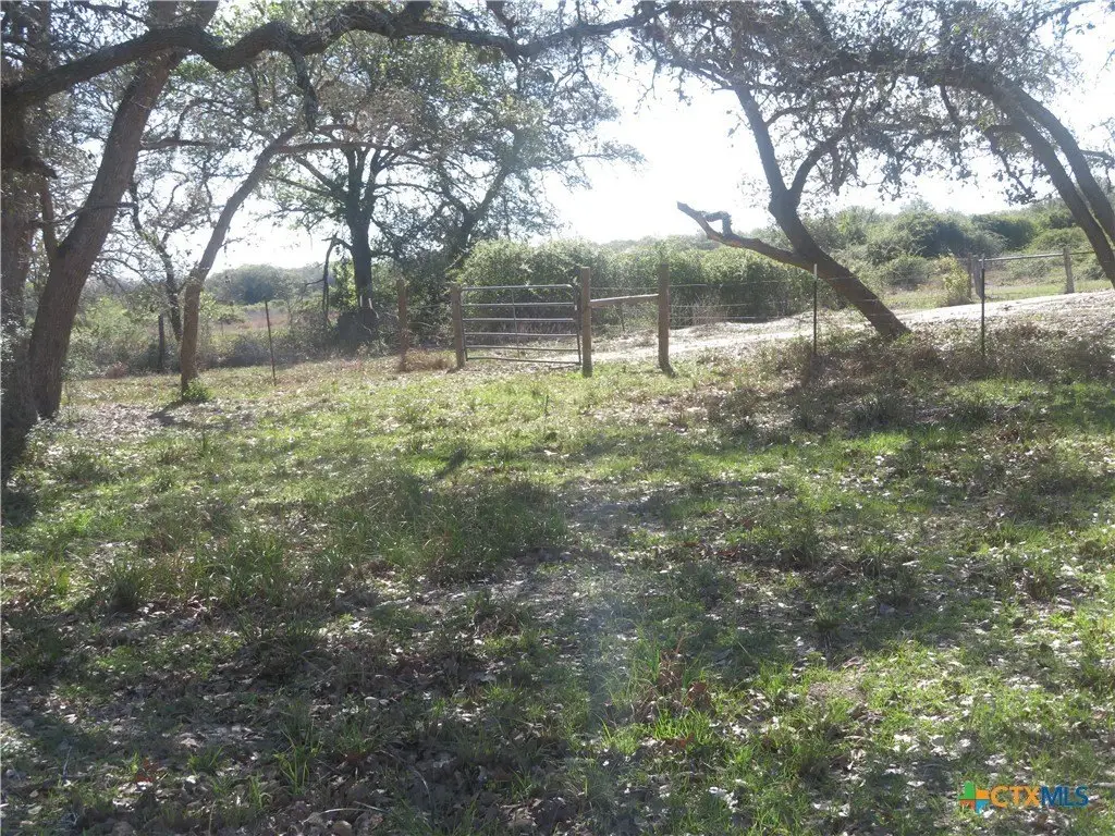 Picture 16