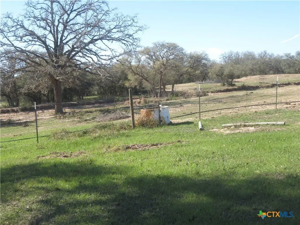 Picture 15