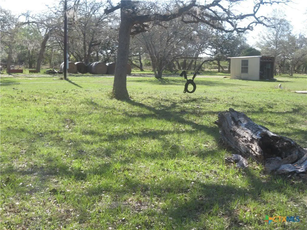 Picture 6