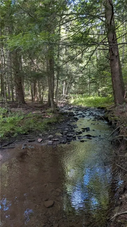 Picture 25