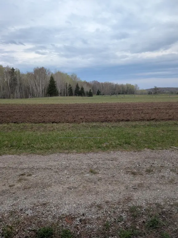 Picture 12