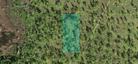 Vacant Lot in Lake Wales