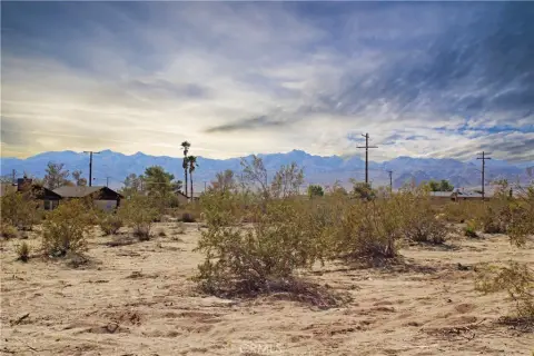 Joshua Tree Land Opportunity