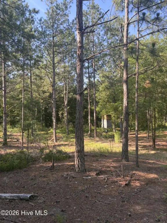 Picture 16