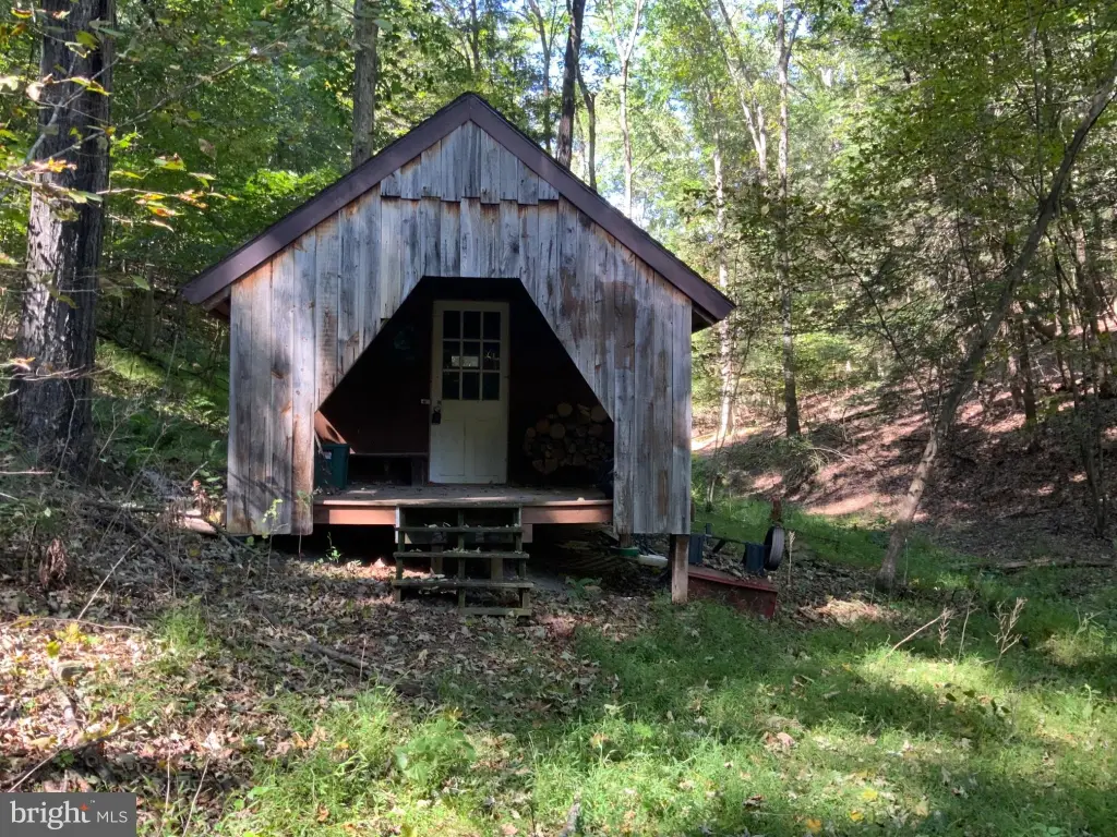 Picture 15