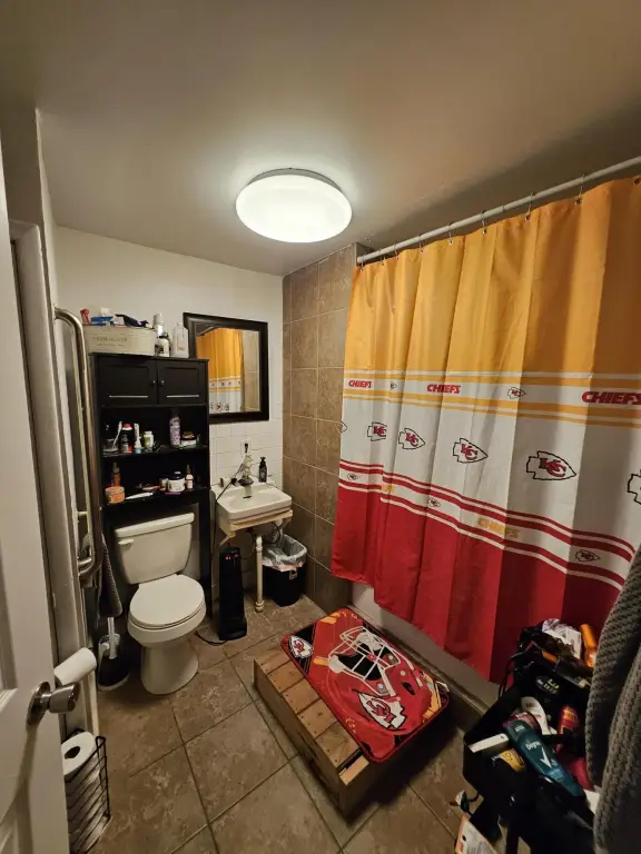 Picture 16