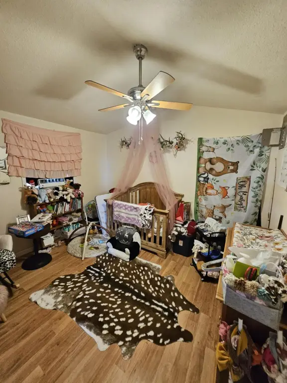Picture 12