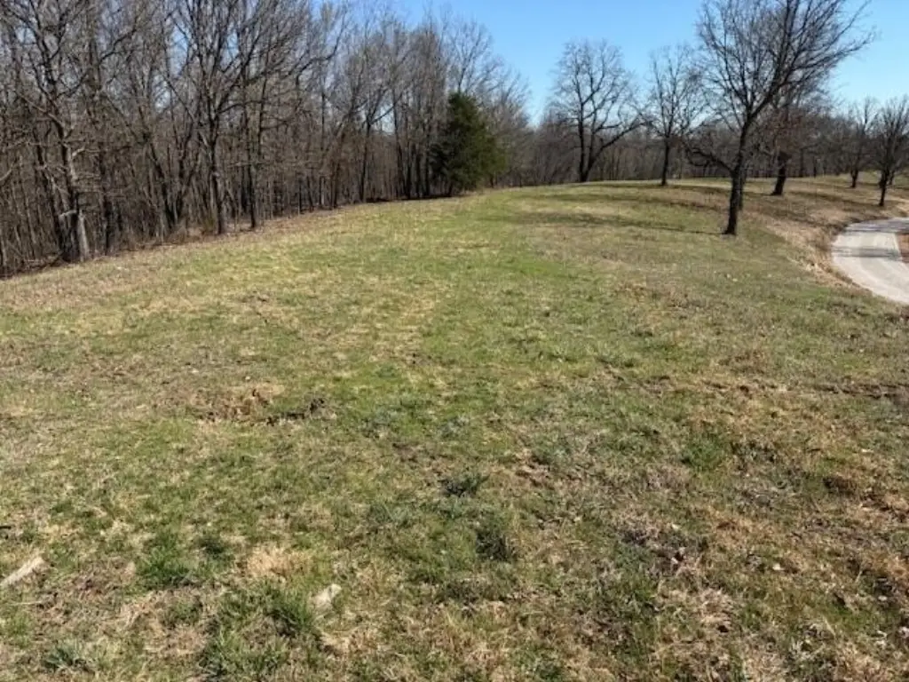 Picture 7